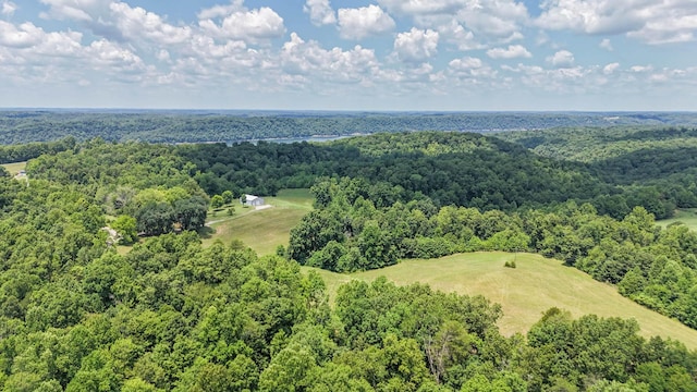 bird's eye view with a forest view