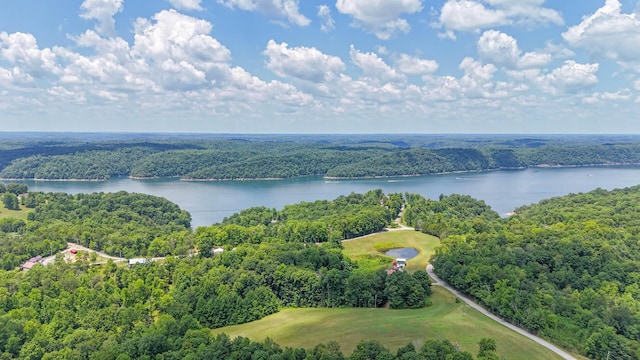 drone / aerial view with a water view and a forest view