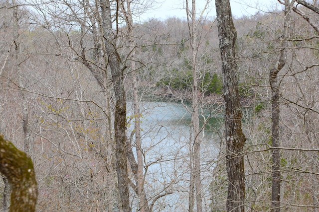 view of water feature featuring a wooded view