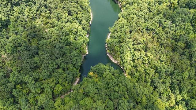 bird's eye view featuring a water view and a view of trees