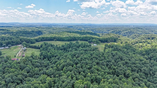 bird's eye view with a wooded view