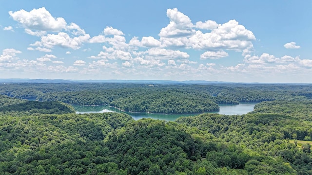 bird's eye view with a water view and a wooded view