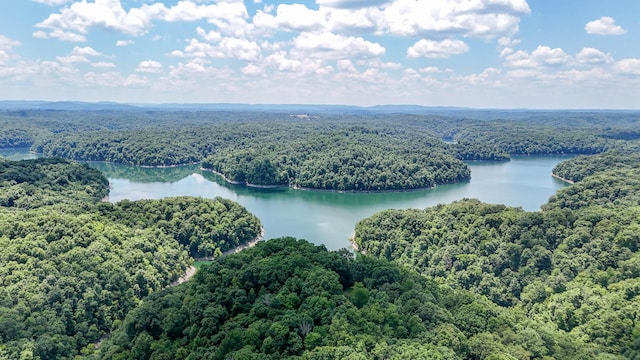 drone / aerial view with a water view and a wooded view