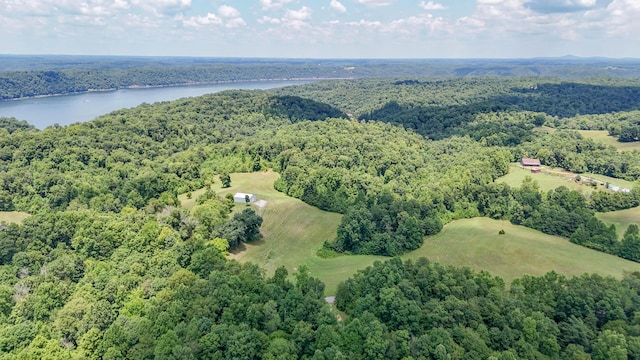 bird's eye view with a water view and a view of trees