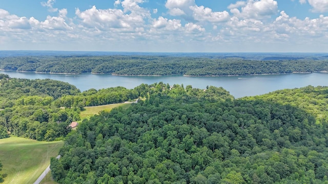 birds eye view of property with a water view and a forest view