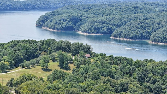 bird's eye view featuring a water view and a forest view