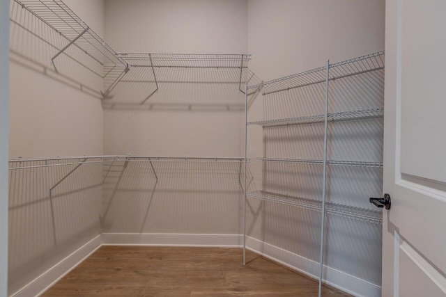 spacious closet with hardwood / wood-style floors