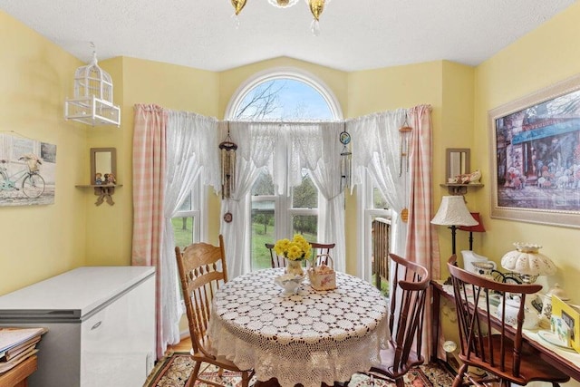 dining space with a textured ceiling and hardwood / wood-style flooring