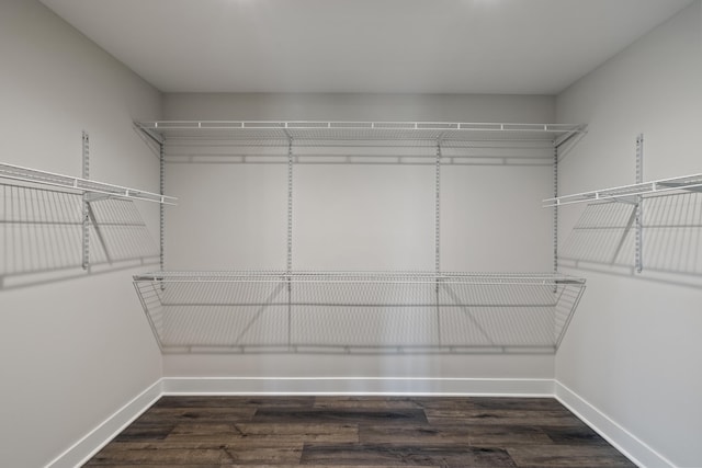 spacious closet with dark wood-type flooring