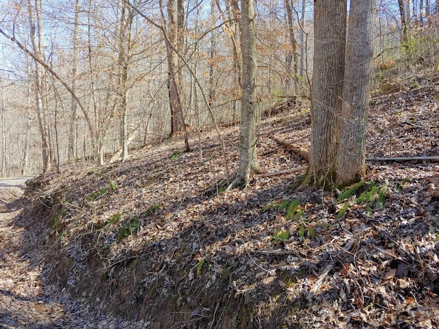 Listing photo 2 for 0 Birch Hollow Rd # 9Phase 2, Stanton KY 40380