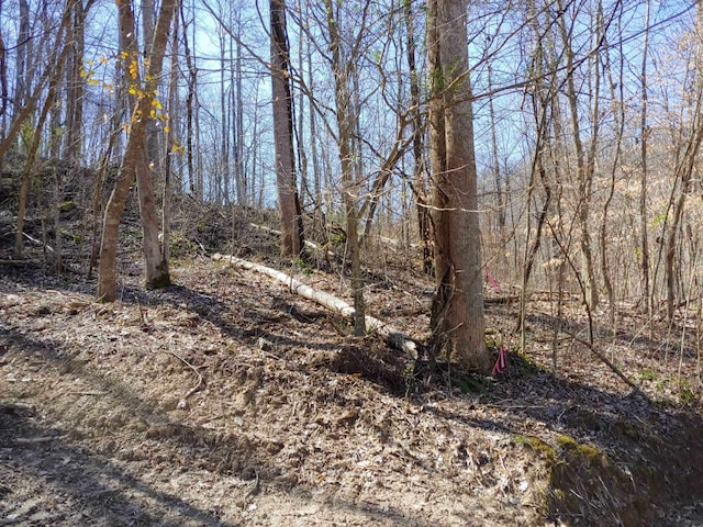 Listing photo 3 for 0 Birch Hollow Rd # 9Phase 2, Stanton KY 40380