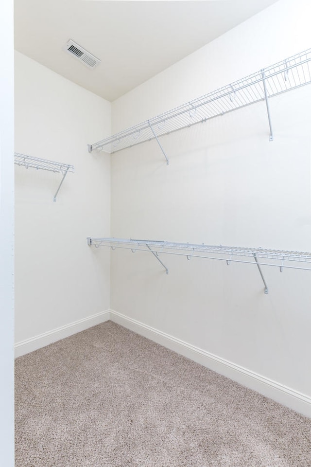 walk in closet with light colored carpet