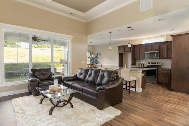 living room featuring dark hardwood / wood-style flooring, crown molding, and a tray ceiling