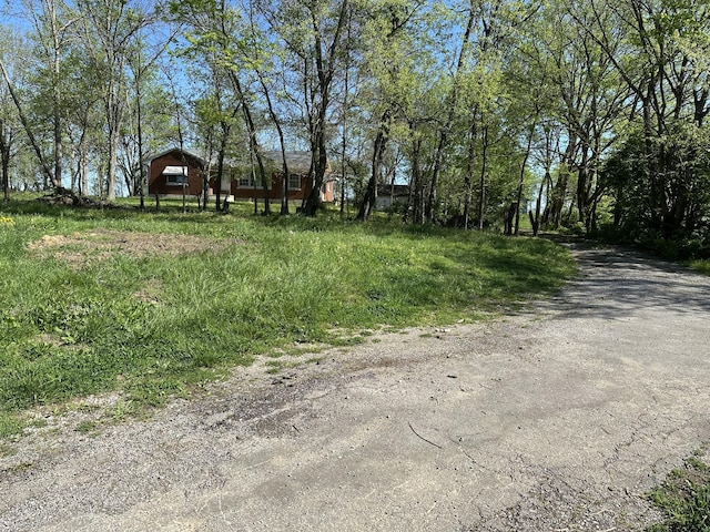 256 Carrick Pike, Georgetown, KY 40324 - view of road