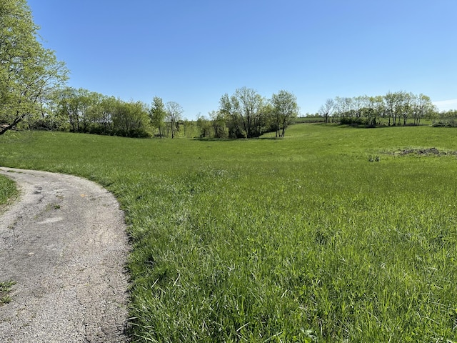 256 Carrick Pike, Georgetown, KY 40324 - view of local wilderness featuring rural landscape