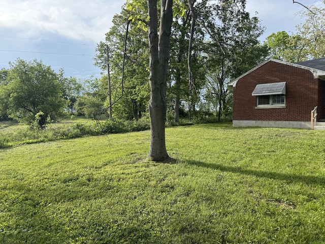 256 Carrick Pike, Georgetown, KY 40324 - view of green lawn