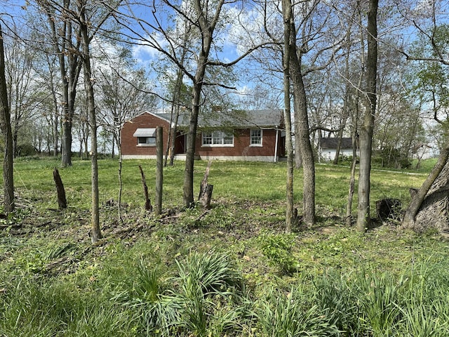 256 Carrick Pike, Georgetown, KY 40324 - view of grassy yard