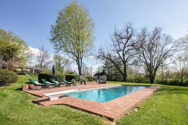 511 Boone Ave, Winchester, KY 40391 - view of swimming pool featuring a yard and a diving board