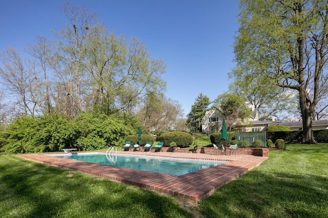 511 Boone Ave, Winchester, KY 40391 - view of swimming pool with a diving board and a yard