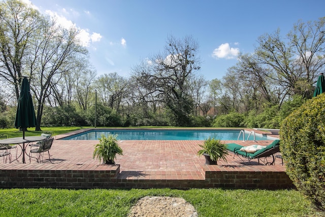 511 Boone Ave, Winchester, KY 40391 - view of pool with a patio area