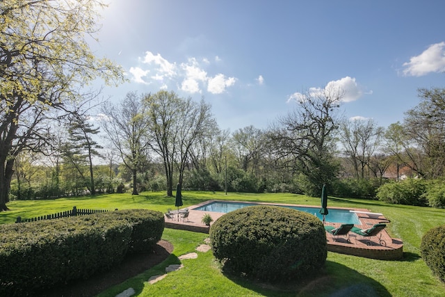 511 Boone Ave, Winchester, KY 40391 - exterior space featuring a pool and a yard