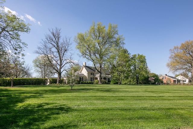 511 Boone Ave, Winchester, KY 40391 - view of yard