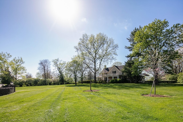 511 Boone Ave, Winchester, KY 40391 - view of yard