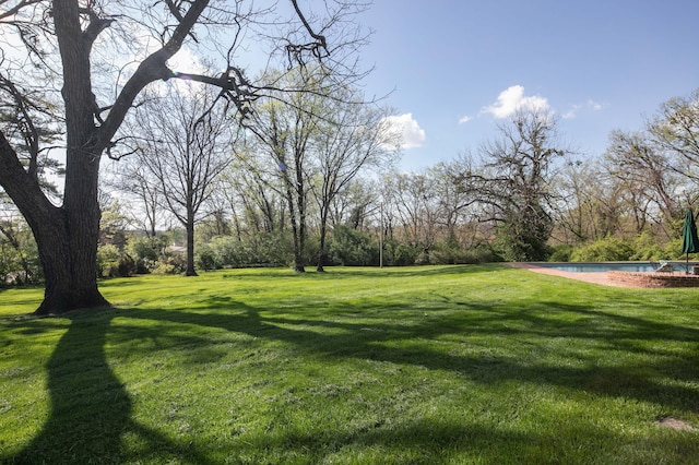 511 Boone Ave, Winchester, KY 40391 - view of yard