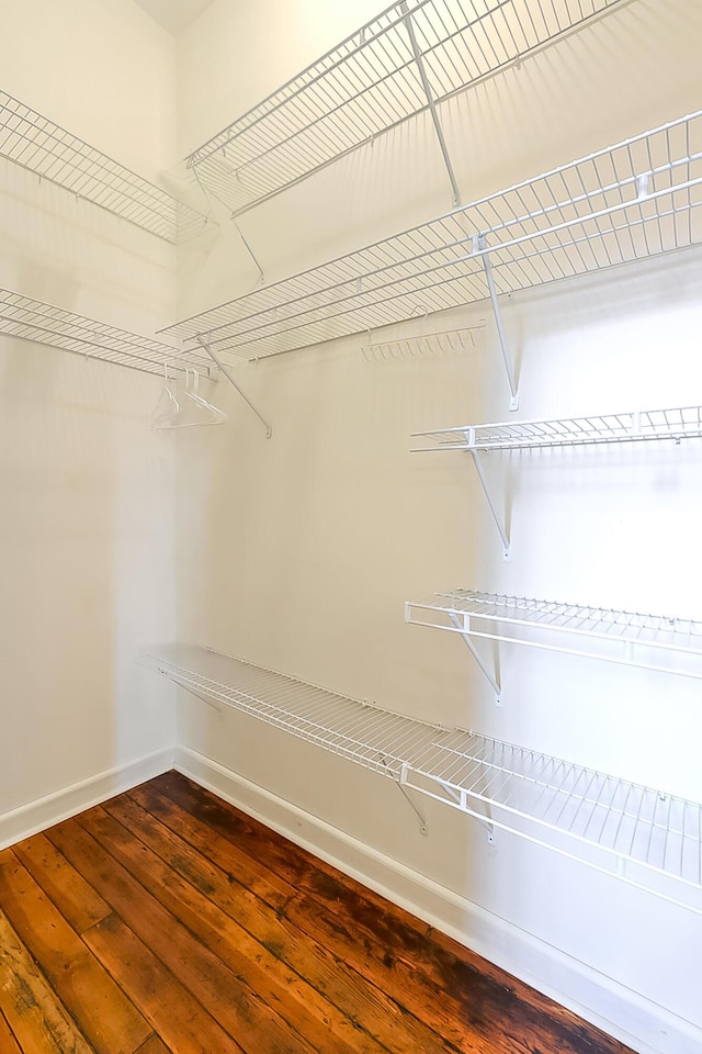 spacious closet with dark hardwood / wood-style floors