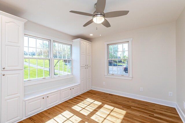 bathroom featuring hardwood / wood-style flooring and vanity