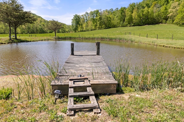 dock area with a water view and a lawn