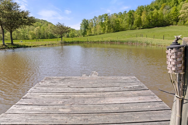 dock area with a water view