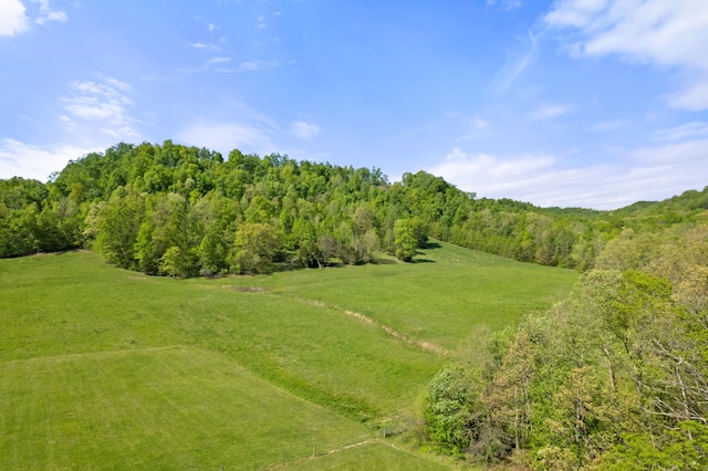 view of landscape