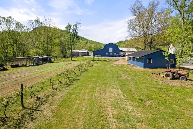 view of yard featuring a mountain view