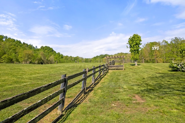 view of yard with a rural view