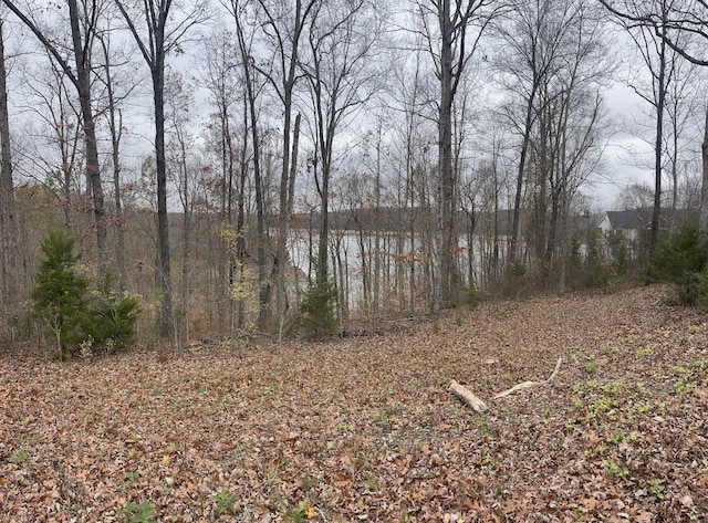 LOT37 Cumberland Shrs, Monticello KY, 42633 land for sale