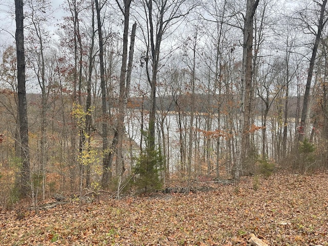 Listing photo 2 for LOT37 Cumberland Shrs, Monticello KY 42633