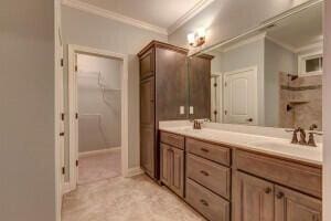 bathroom with crown molding and dual bowl vanity