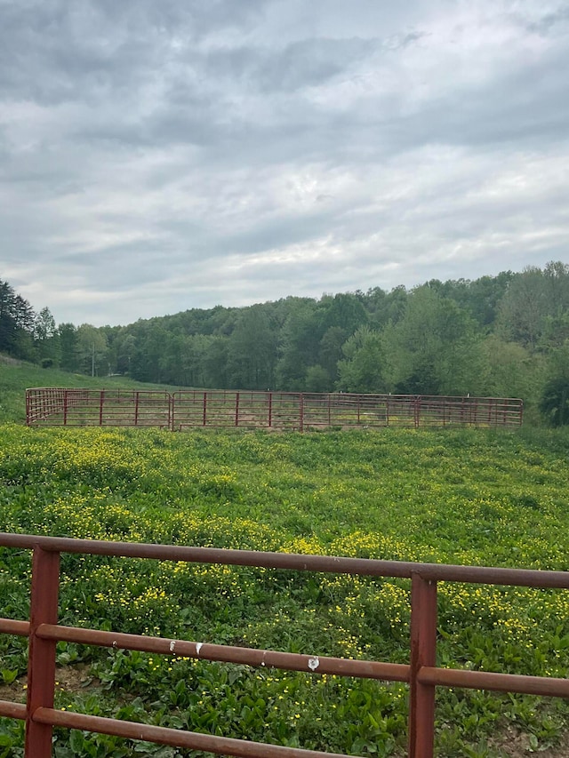 view of yard featuring a rural view