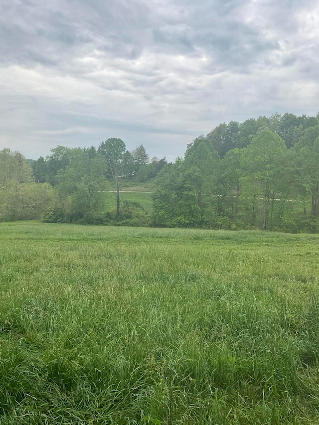 view of local wilderness with a rural view