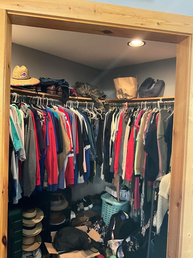 view of spacious closet