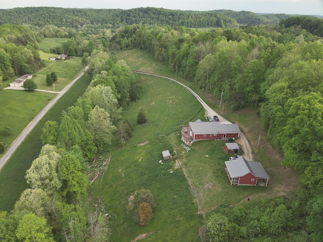 bird's eye view