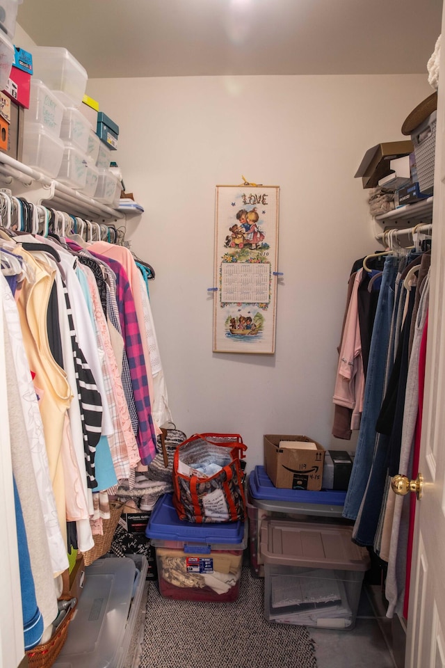 walk in closet with carpet flooring