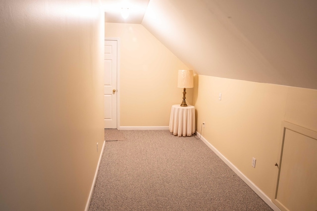 additional living space featuring carpet floors and vaulted ceiling