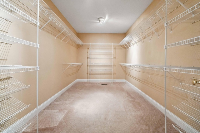 walk in closet with carpet