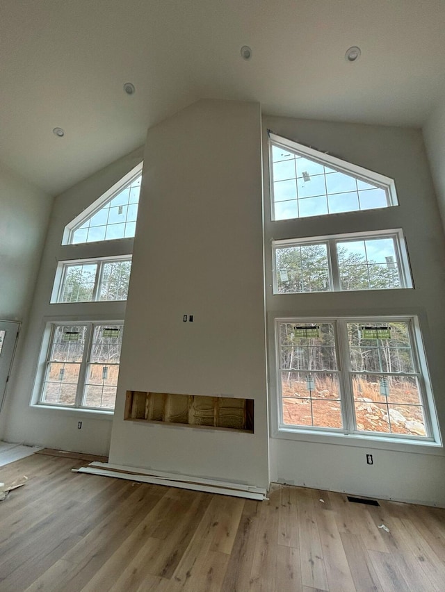 additional living space with light hardwood / wood-style floors and high vaulted ceiling