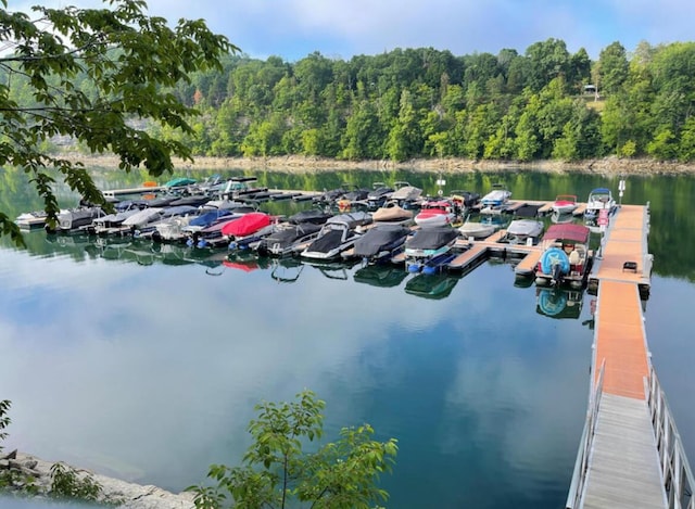 exterior space featuring a water view, a floating dock, and a forest view