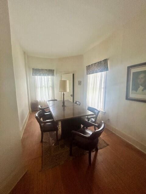 carpeted dining area with plenty of natural light