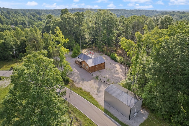 view of bird's eye view