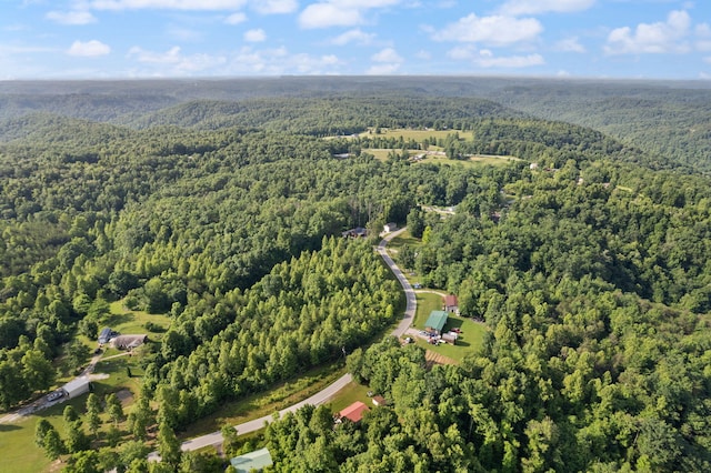 view of birds eye view of property